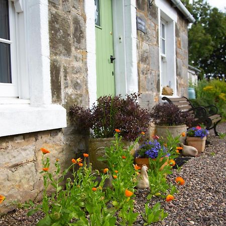 Balmungo Cottage B&B St Andrews Esterno foto