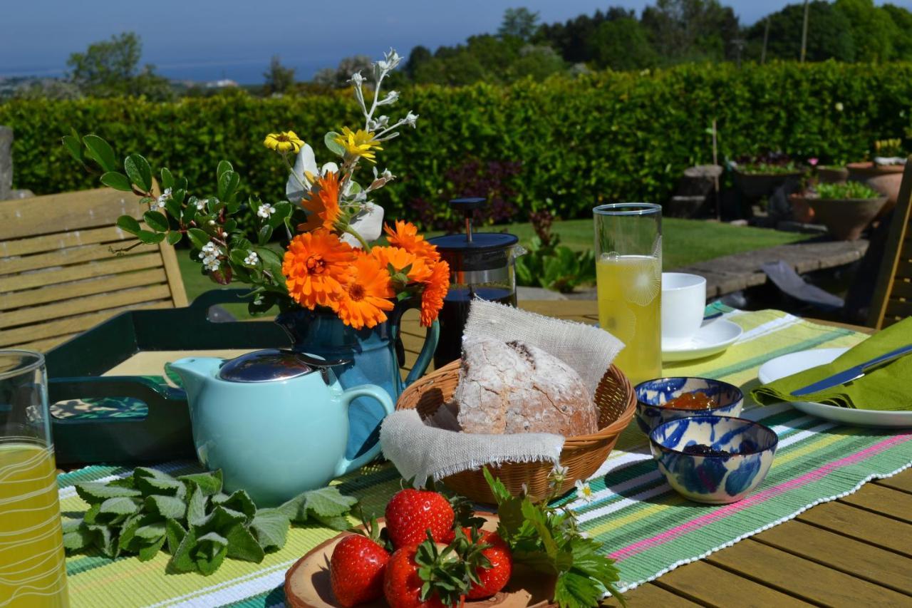 Balmungo Cottage B&B St Andrews Esterno foto