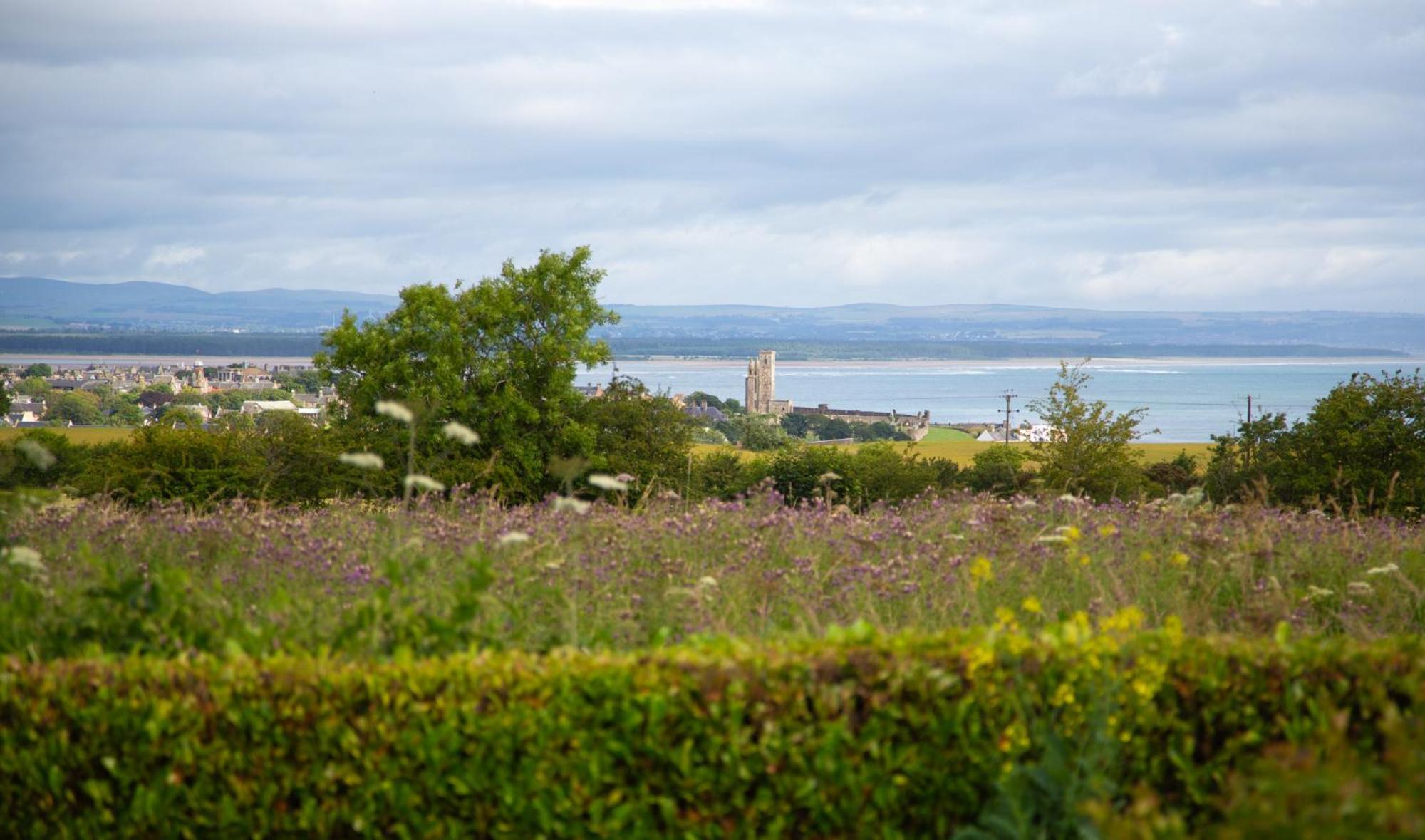 Balmungo Cottage B&B St Andrews Esterno foto