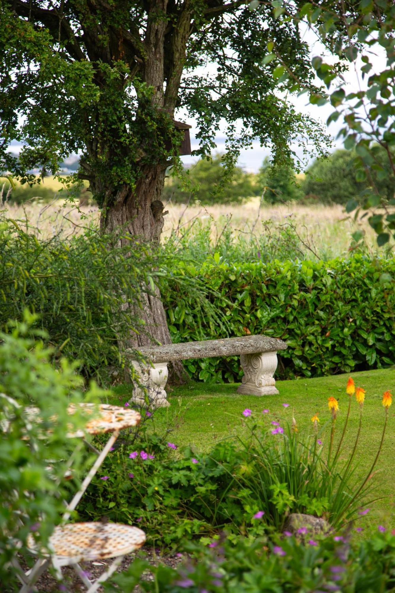 Balmungo Cottage B&B St Andrews Esterno foto