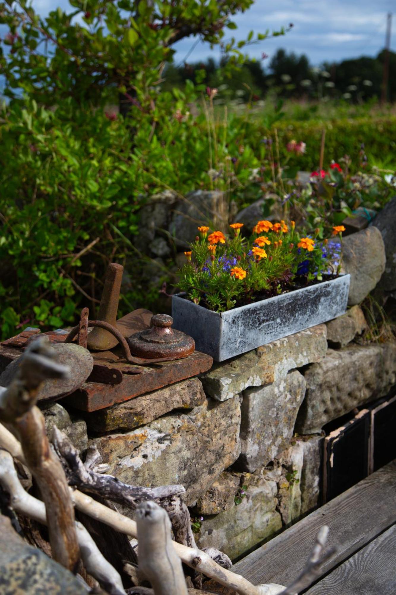 Balmungo Cottage B&B St Andrews Esterno foto