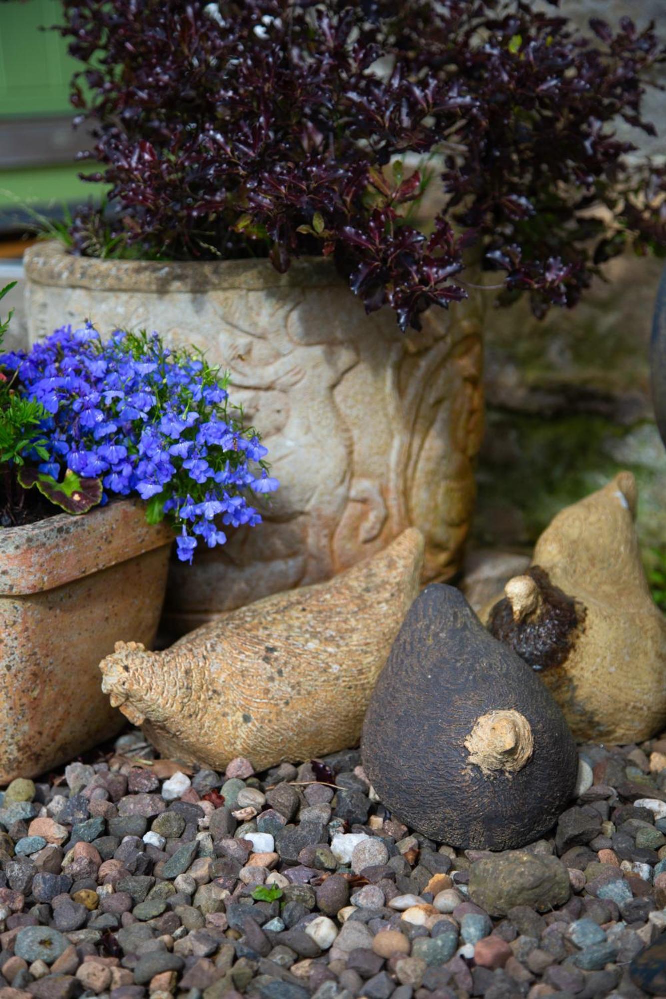 Balmungo Cottage B&B St Andrews Esterno foto