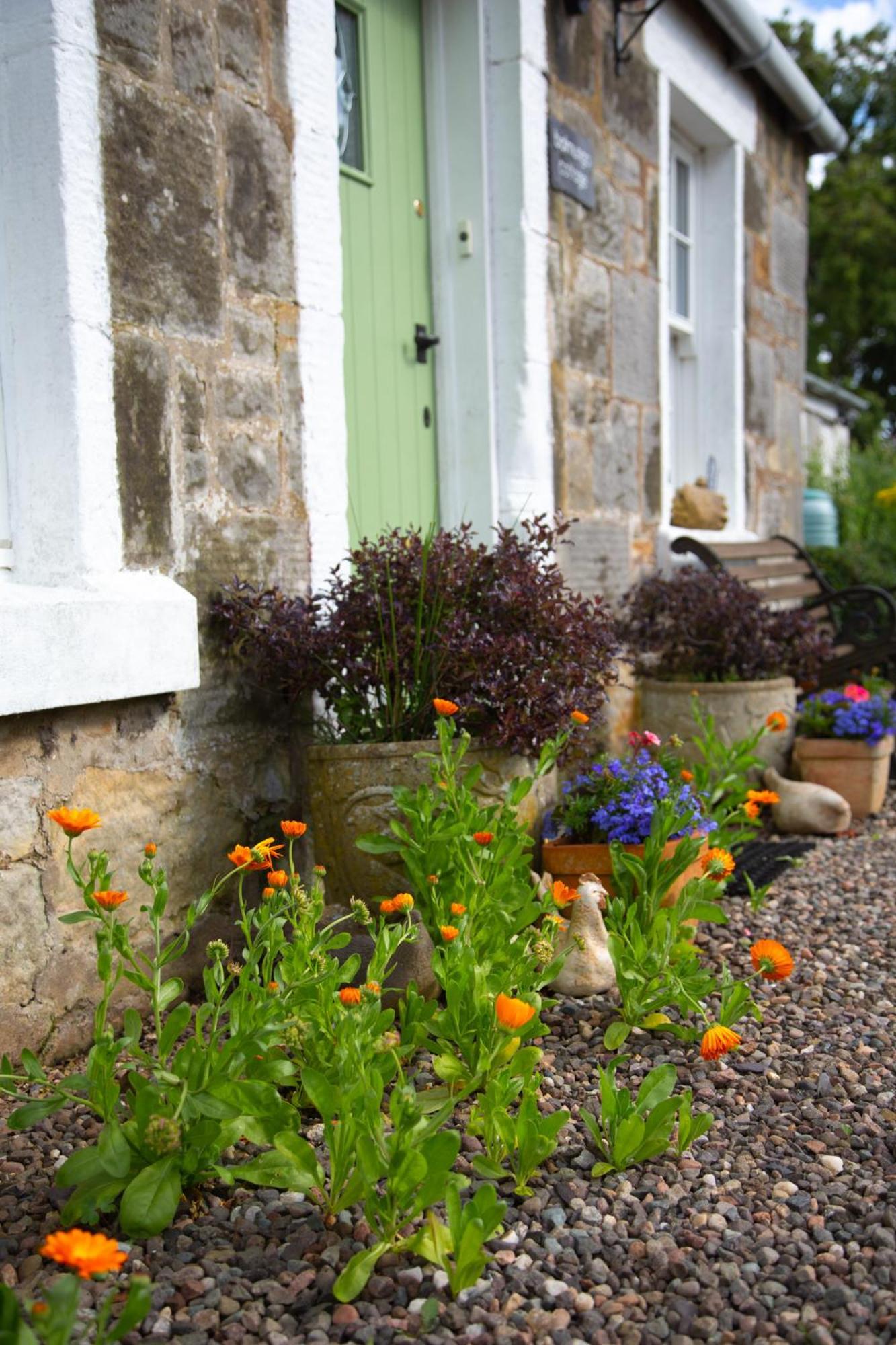 Balmungo Cottage B&B St Andrews Esterno foto