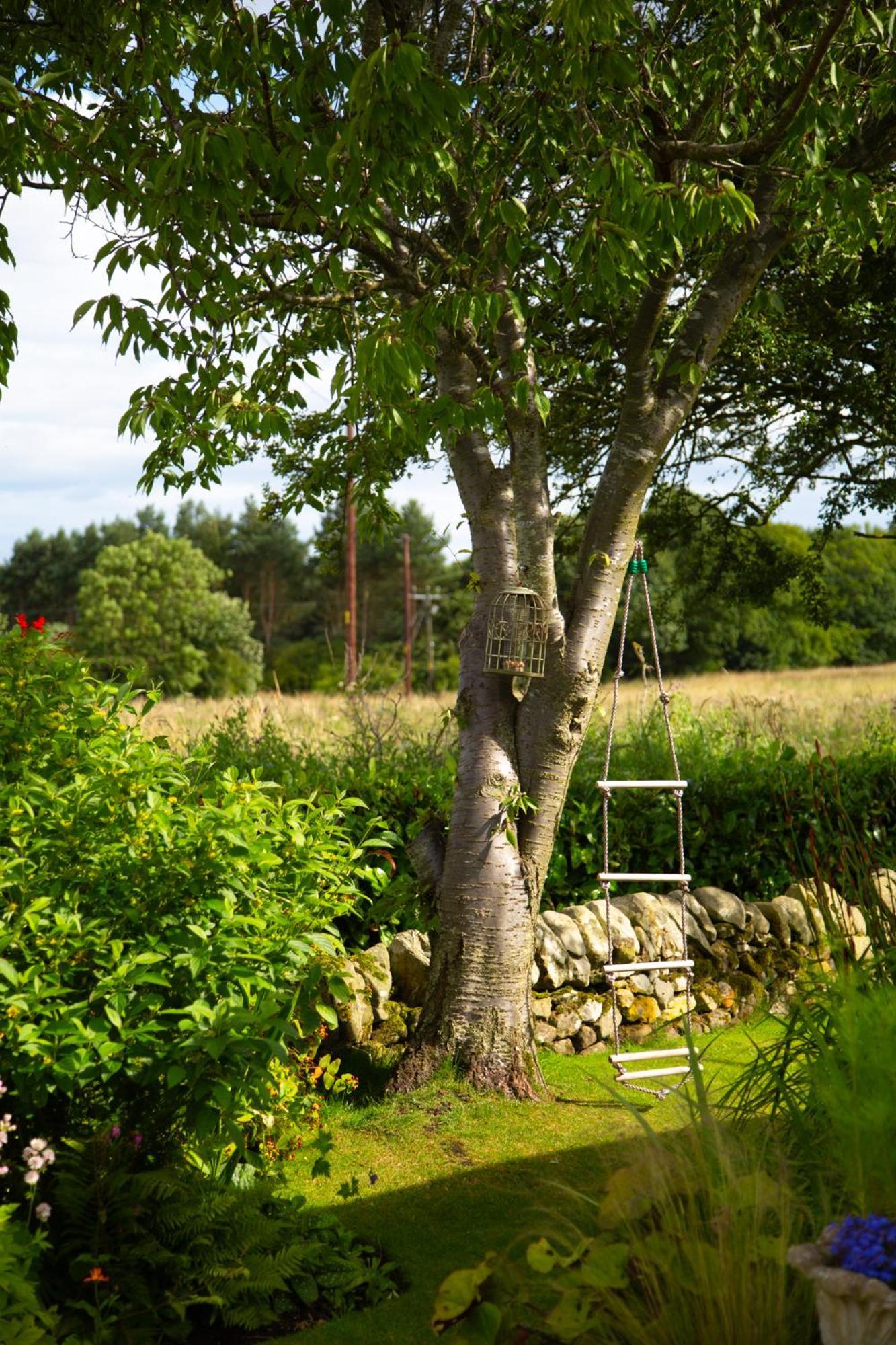 Balmungo Cottage B&B St Andrews Esterno foto