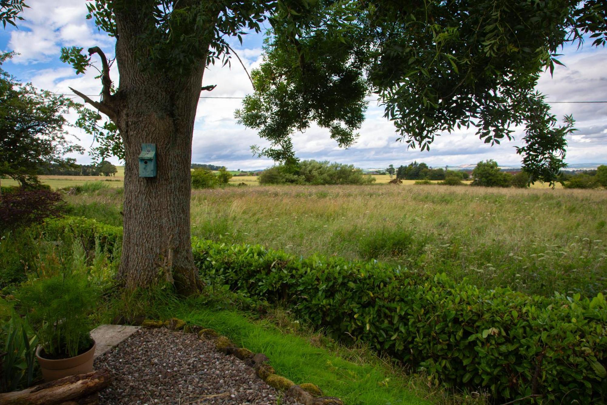 Balmungo Cottage B&B St Andrews Esterno foto