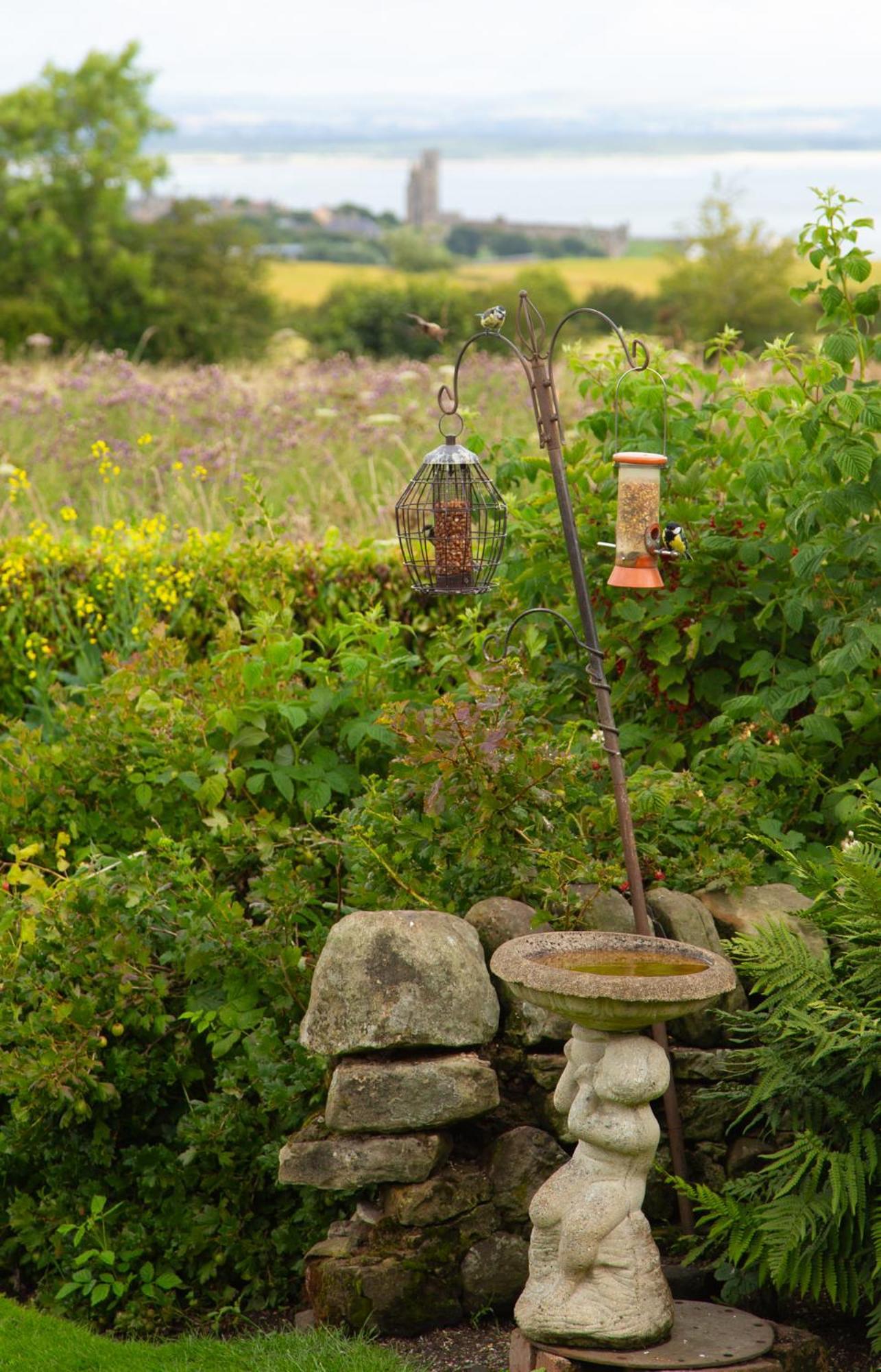 Balmungo Cottage B&B St Andrews Esterno foto