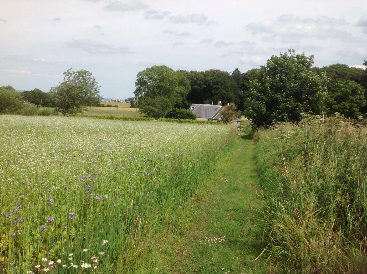 Balmungo Cottage B&B St Andrews Esterno foto
